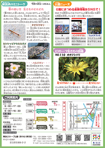 「桑袋ビオトープ公園」ニュースレター4月号うら