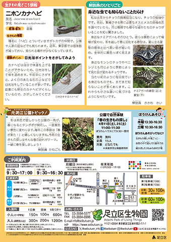 「生物園」ニュースレター4月号うら