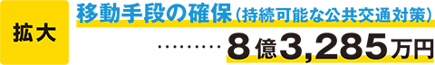 移動手段の確保（持続可能な公共交通対策）