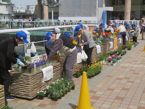 「千住のまちを花でいっぱいに」を合言葉に結成された住民グループ「千住花＊花会」