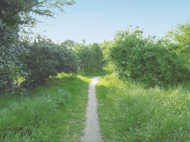 わんど広場（千寿新橋緑地）