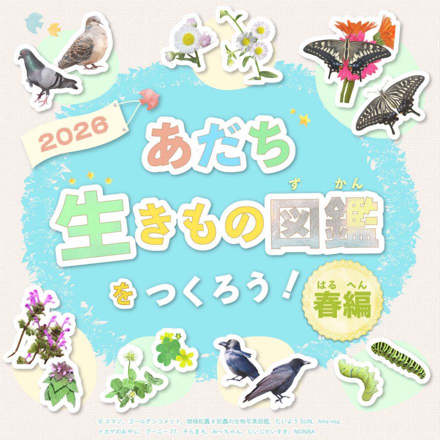 2026春編ヘッダー画像