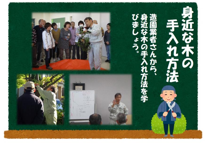 身近な木の手入れ