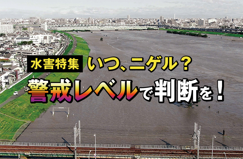 いつ、ニゲル？
