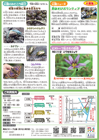 「桑袋ビオトープ公園」ニュースレター6月号うら