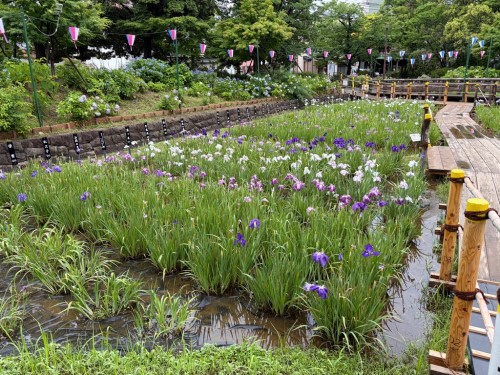 全景２