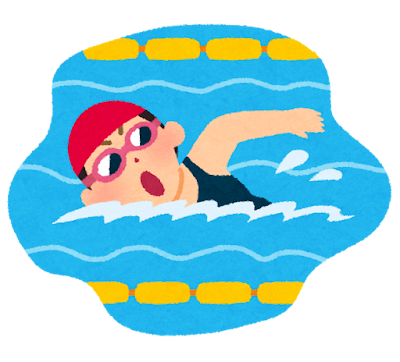 イルカスイミングクラブ（活動のイメージ）