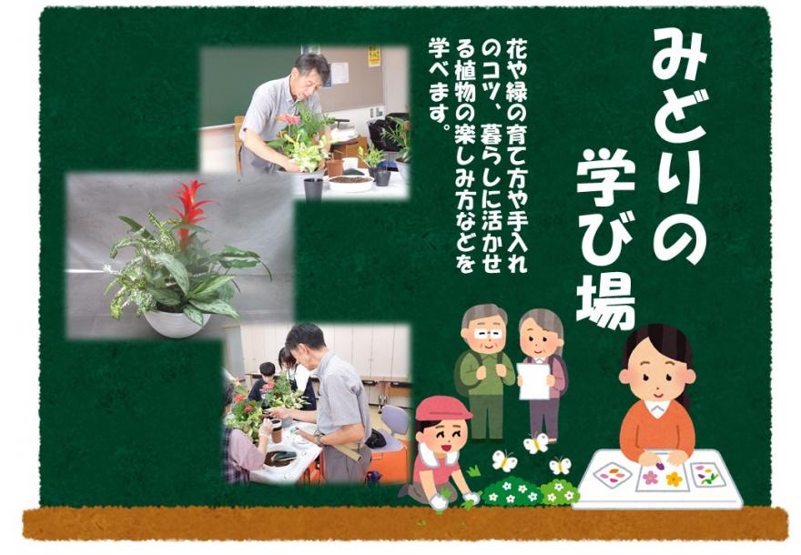 観葉植物の寄せ植え
