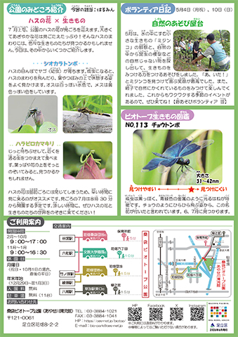「桑袋ビオトープ公園」ニュースレター7月号うら