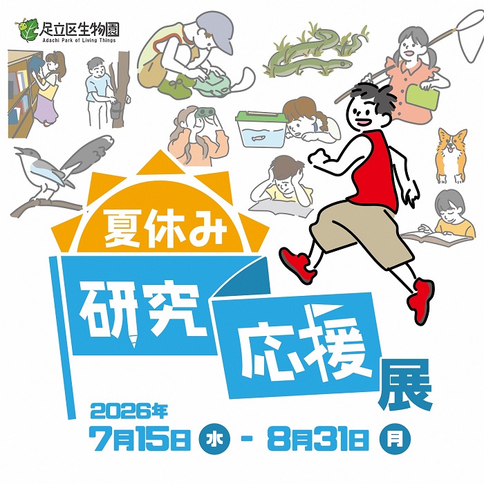 「夏休み研究応援展」のイメージ