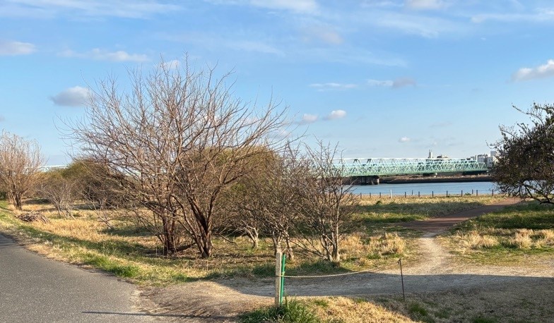 河川敷1-2