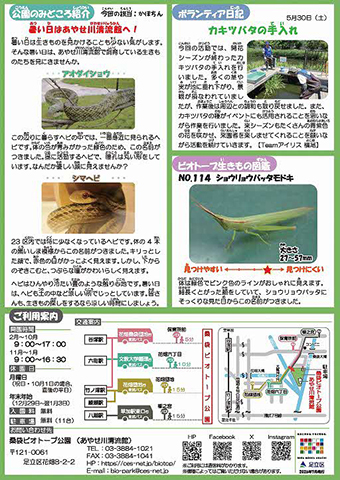 「桑袋ビオトープ公園」ニュースレター8・9月号うら