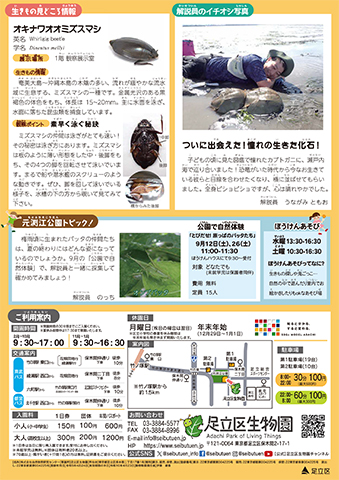 「生物園」ニュースレター9月号裏面