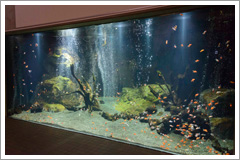 生物園info