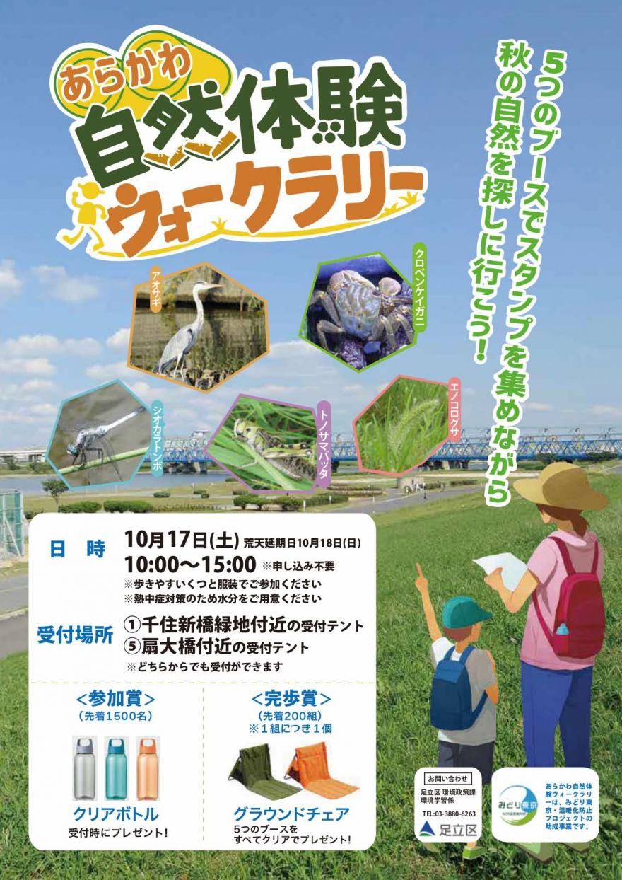 チラシ