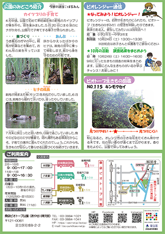 「桑袋ビオトープ公園」ニュースレター10月号うら