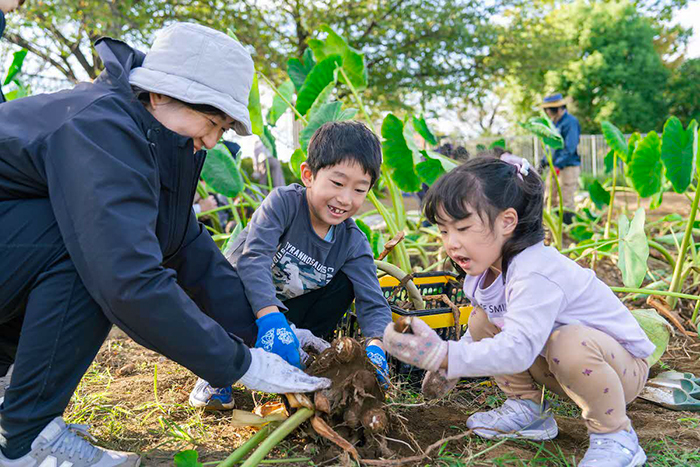「秋の収穫祭」の様子