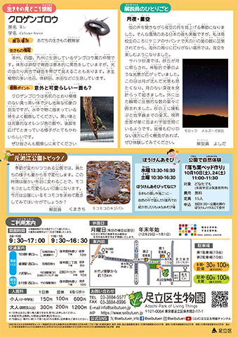 「生物園」ニュースレター10月号裏面
