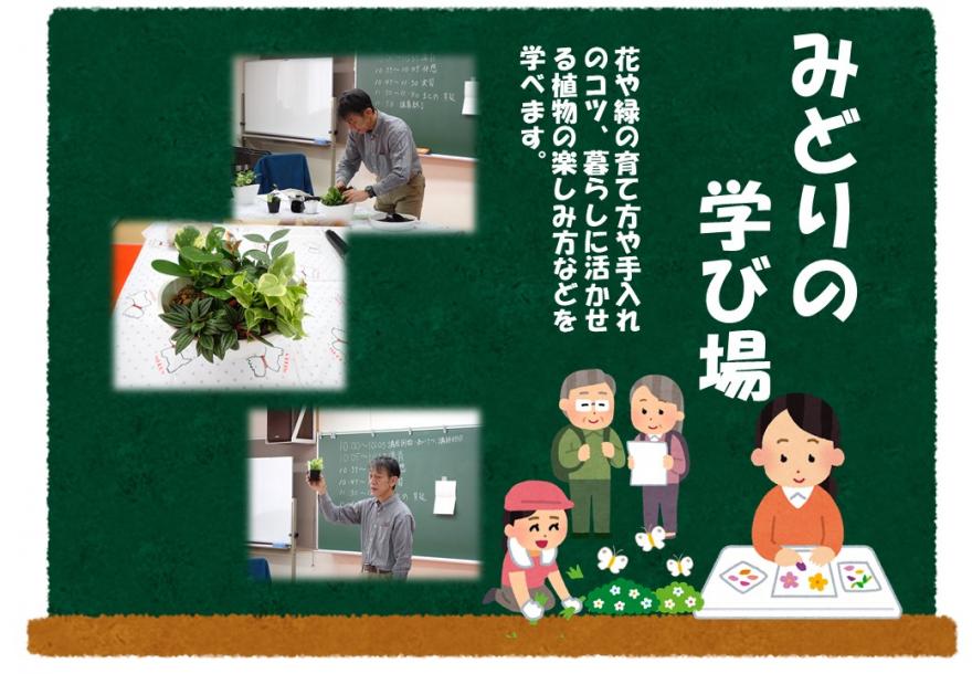 多肉植物の寄せ植え