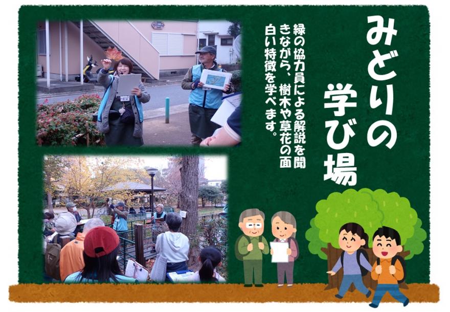 秋の植物探し