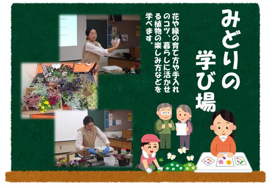 クリスマスに向けた寄せ植え