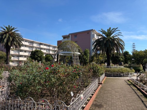 青和ばら公園 全景