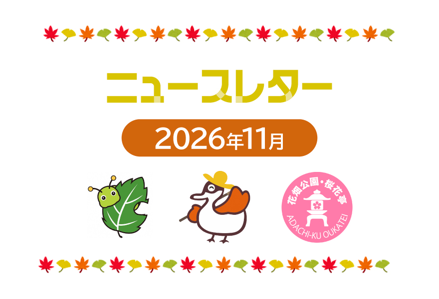 ニュースレター2026年11月号