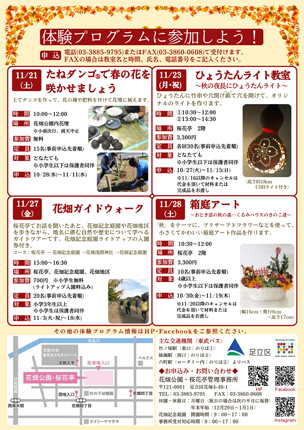 「桜花亭」ニュースレター秋号（裏面）