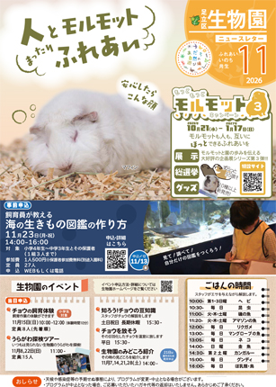 「生物園」ニュースレター11月号（表面）
