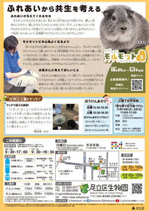 「生物園」ニュースレター11月号（裏面）